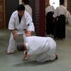 IMG_3125.jpg